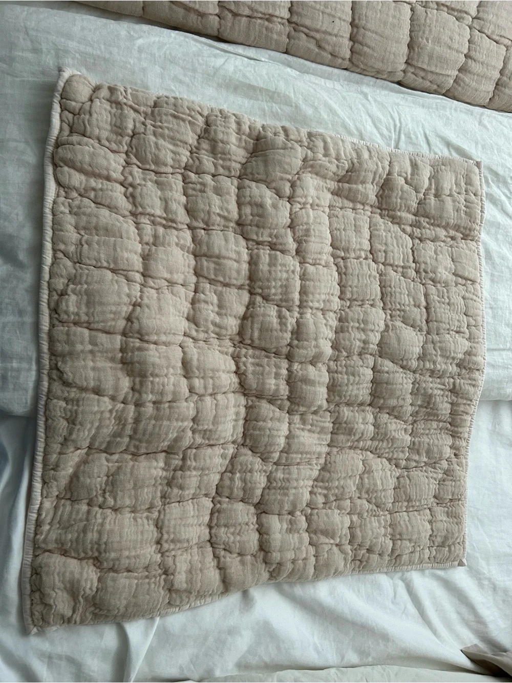 Pottery Barn Cloud Linen Cotton Quilted Euro Shams - Shell Pink - Set of 2